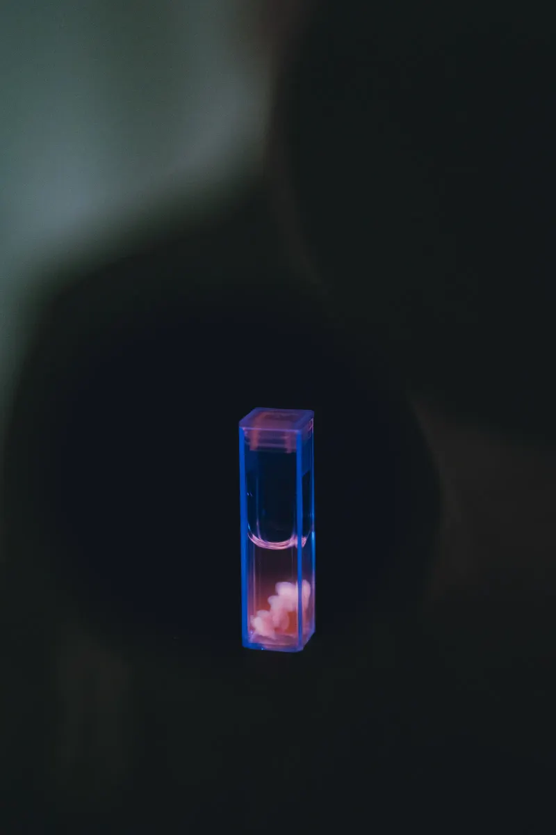 “thymia” (2025) - View into the installation