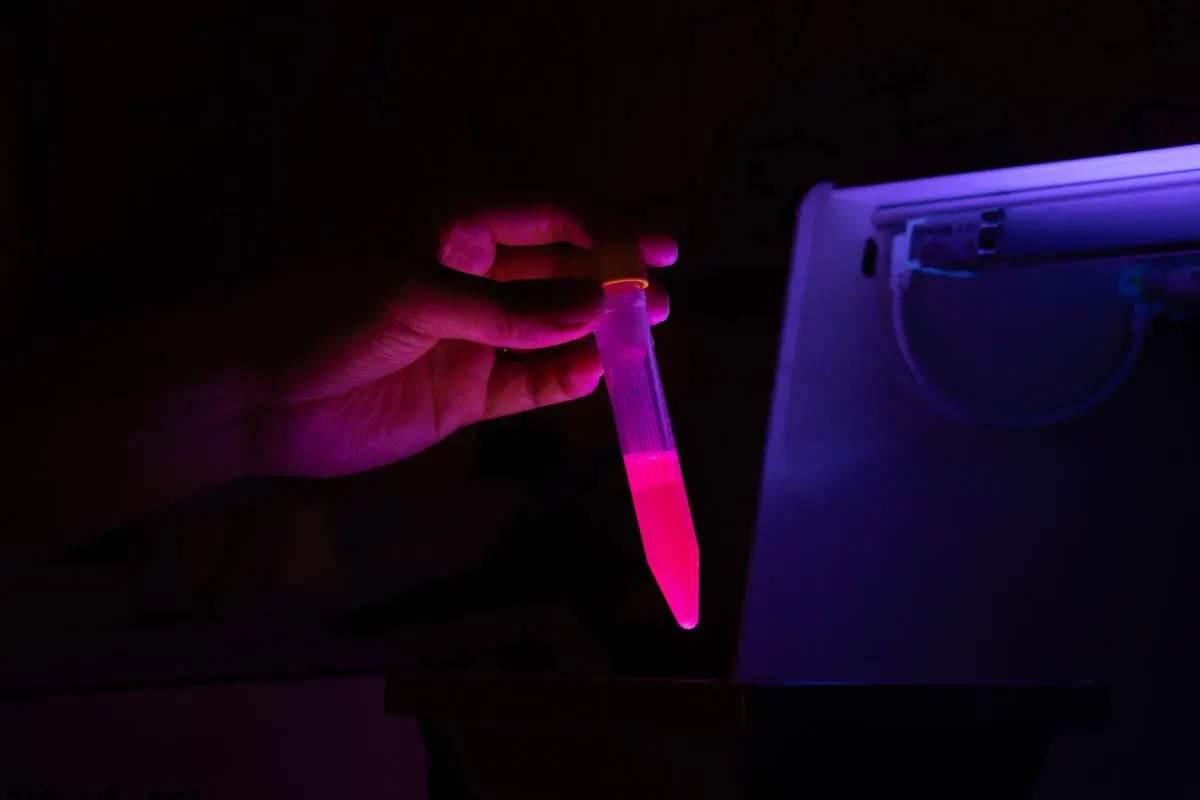 “thymia” (2025) - Protein by Mimotype in the lab